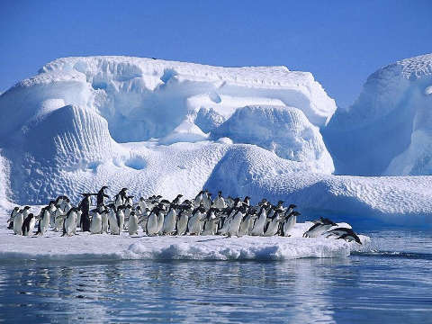 Aumenta el turismo de cruceros en la Antártida