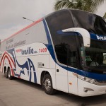 Expreso-Brasilia-autobus
