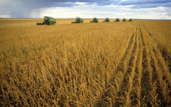 Producción brasileña de grano batirá récords en 2015