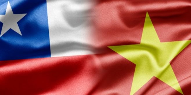 Gobiernos de Chile y Vietnam se reúne para profundizar relaciones económicas