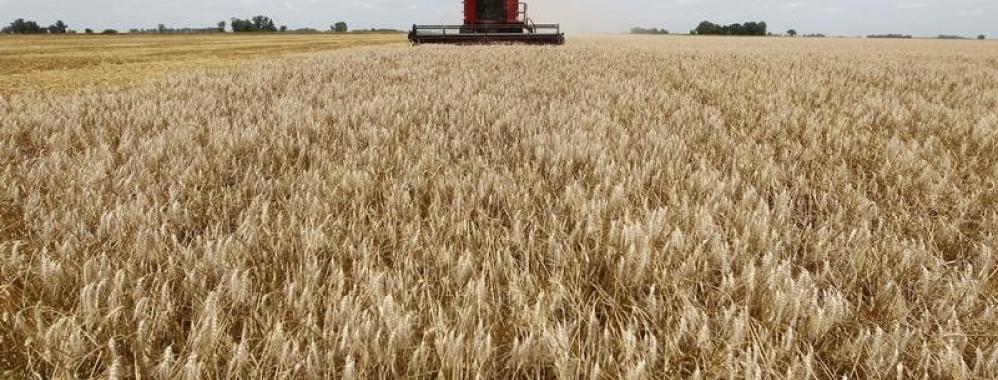 Bolivia supera la peor sequía de su historia y aumenta sus cultivos de cereales