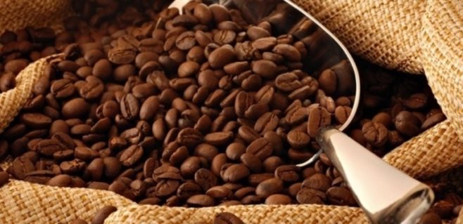 El Salvador promueve cambio de mentalidad sobre la cultura del café, reconocida en mercados mundiales
