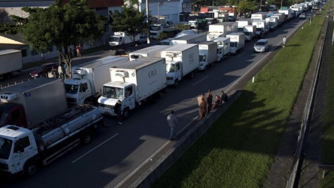 La huelga camionera en Brasil causó millonarias pérdidas al sector de pollos y cerdos