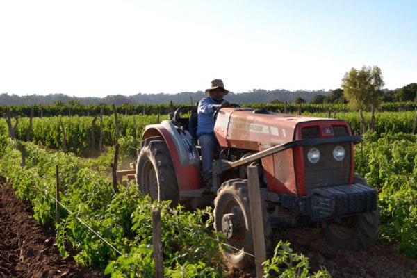 sector agrícola argentina