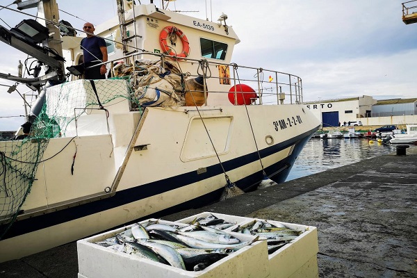 Puerto de Almería abre convocatoria para explotar Lonja de Pescado