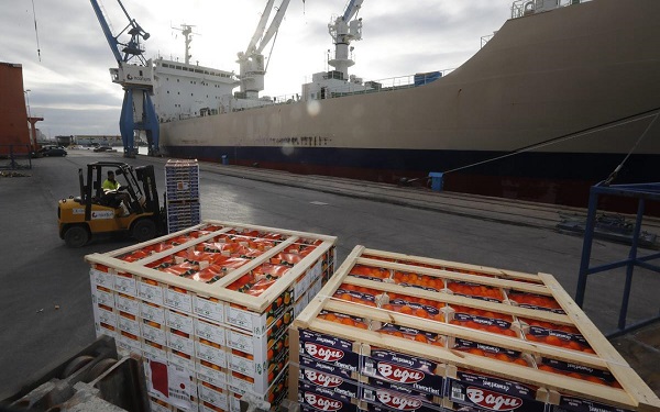 El Puerto de Castellón revisa las bonificaciones procedentes de importaciones de cítricos